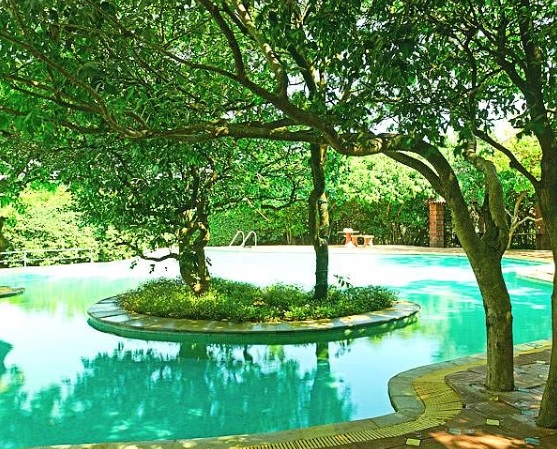 I am going to Mahabaleshwer in April mid what kind of weather there ? And what type of activity I can enjoy
