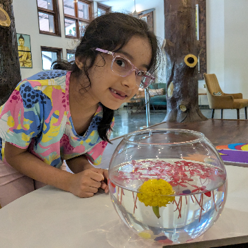 Club Mahindra Netrang